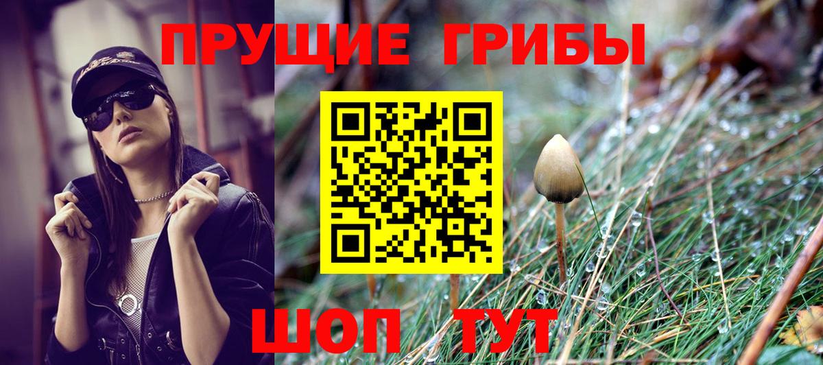 Губкин  Галлюциногенные грибы мицелий  Псилоцибиновые грибы Psilocybe  Вход с VPN 